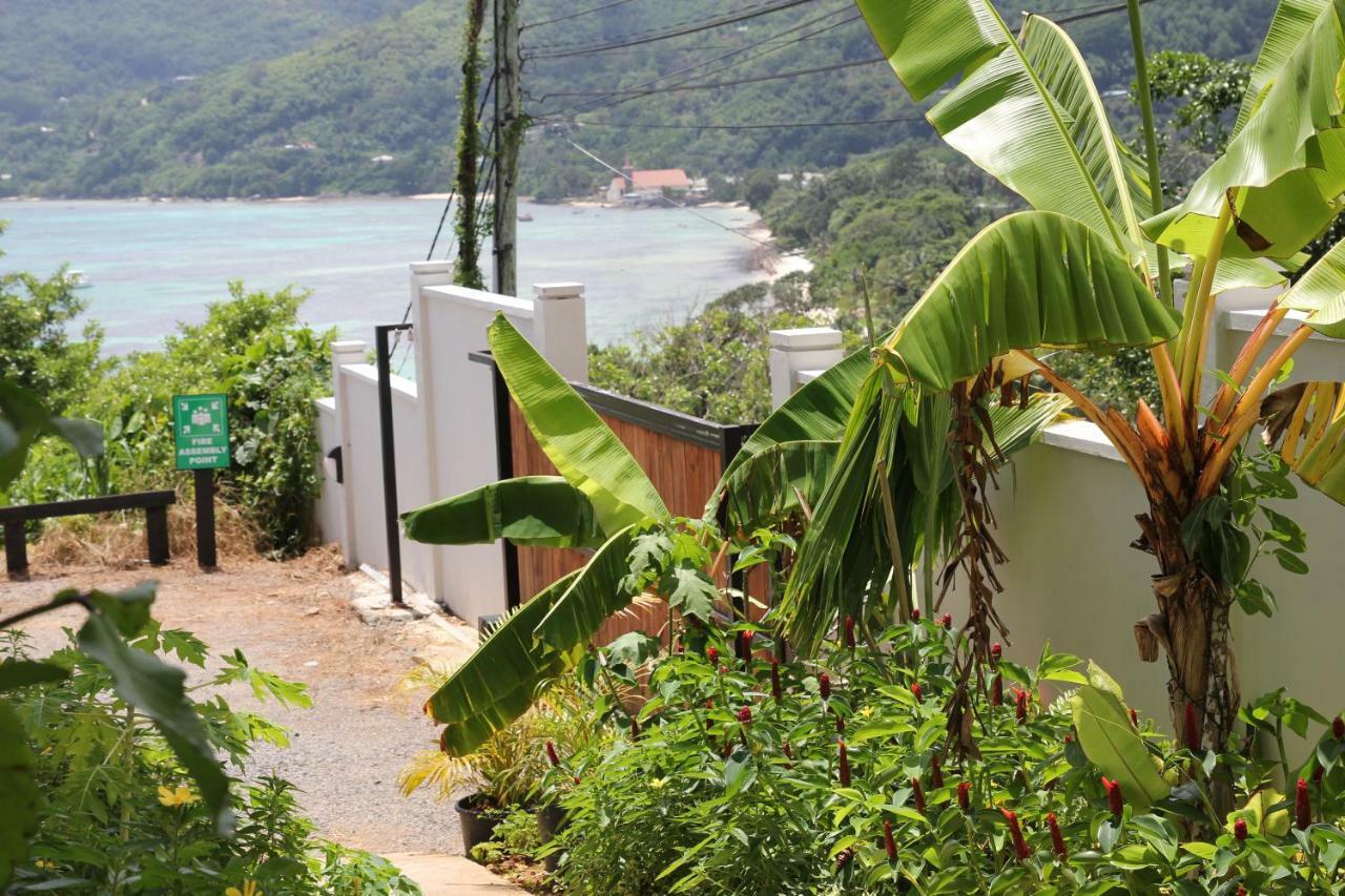 Island Cove Apartment วิกตอเรีย ภายนอก รูปภาพ
